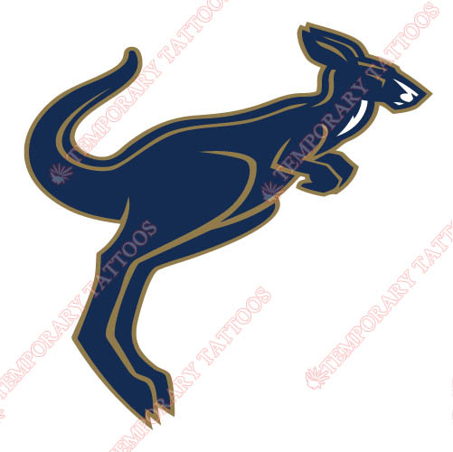 Akron Zips Customize Temporary Tattoos Stickers NO.3697